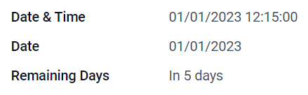 Examples of Date & Time fields with different widgets