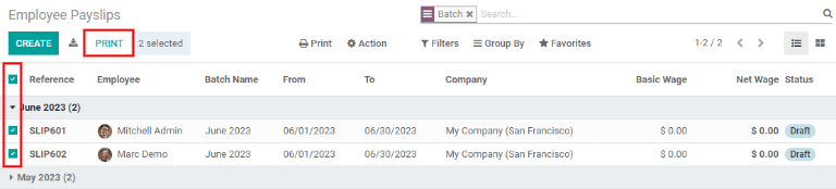 Click on the Print smart button to print payslips to a PDF.